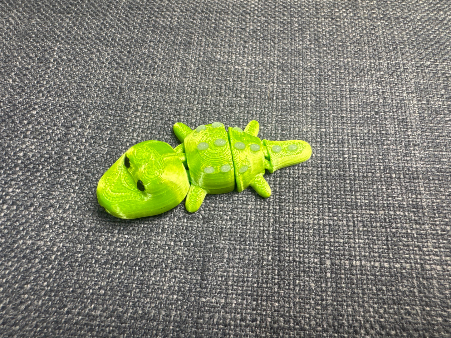 Crocodile