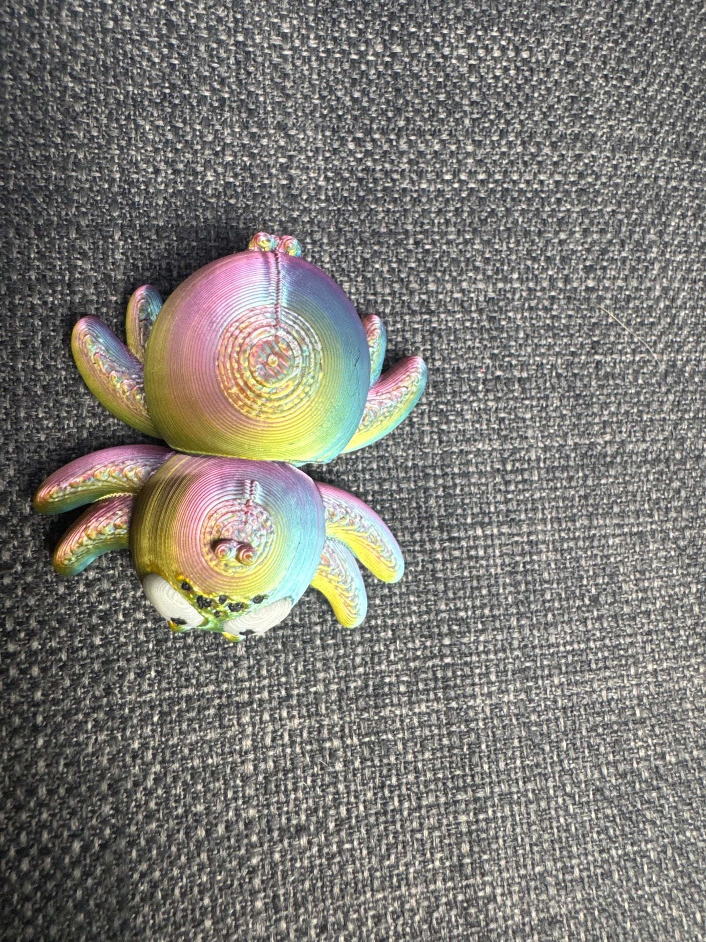 Spider
